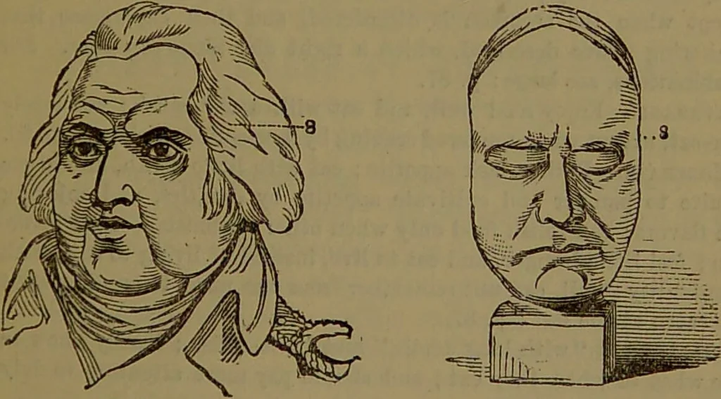 An illustration from New illustrated self-instructor in phrenology and physiology : with over one hundred engravings, together with the chart and character of ... as marked by ... / by O.S. and L.N. Fowler., 1872, leaf 101
