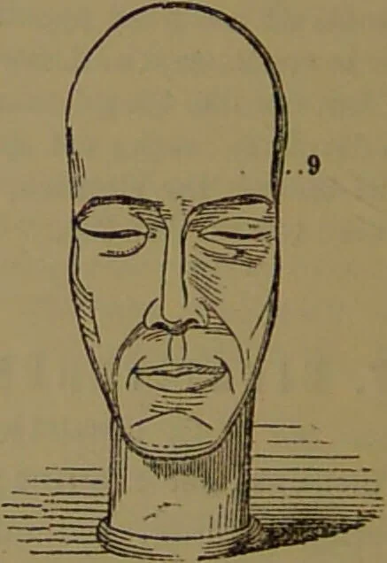 An illustration from New illustrated self-instructor in phrenology and physiology : with over one hundred engravings, together with the chart and character of ... as marked by ... / by O.S. and L.N. Fowler., 1872, leaf 104