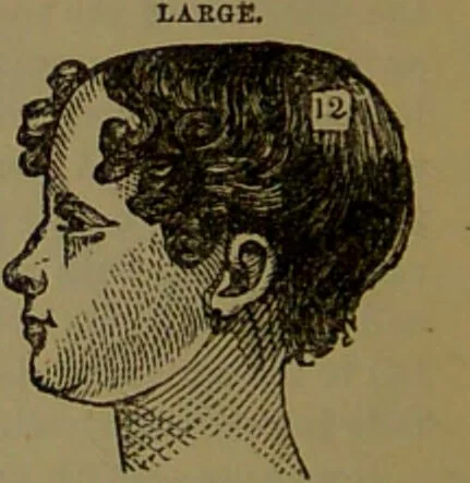 An illustration from New illustrated self-instructor in phrenology and physiology : with over one hundred engravings, together with the chart and character of ... as marked by ... / by O.S. and L.N. Fowler., 1872, leaf 112