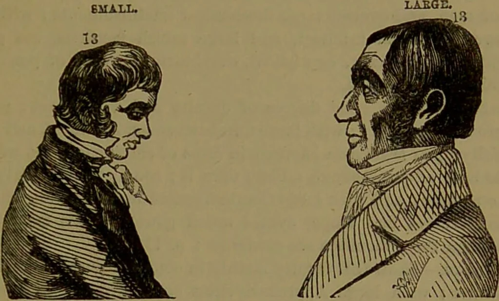 An illustration from New illustrated self-instructor in phrenology and physiology : with over one hundred engravings, together with the chart and character of ... as marked by ... / by O.S. and L.N. Fowler., 1872, leaf 115