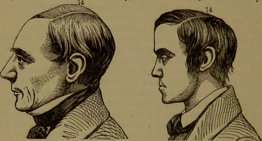An illustration from New illustrated self-instructor in phrenology and physiology : with over one hundred engravings, together with the chart and character of ... as marked by ... / by O.S. and L.N. Fowler., 1872, leaf 118