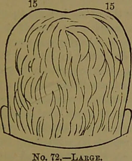 An illustration from New illustrated self-instructor in phrenology and physiology : with over one hundred engravings, together with the chart and character of ... as marked by ... / by O.S. and L.N. Fowler., 1872, leaf 121