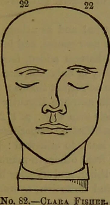 An illustration from New illustrated self-instructor in phrenology and physiology : with over one hundred engravings, together with the chart and character of ... as marked by ... / by O.S. and L.N. Fowler., 1872, leaf 139
