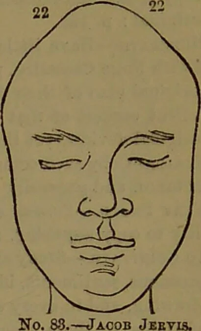 An illustration from New illustrated self-instructor in phrenology and physiology : with over one hundred engravings, together with the chart and character of ... as marked by ... / by O.S. and L.N. Fowler., 1872, leaf 139
