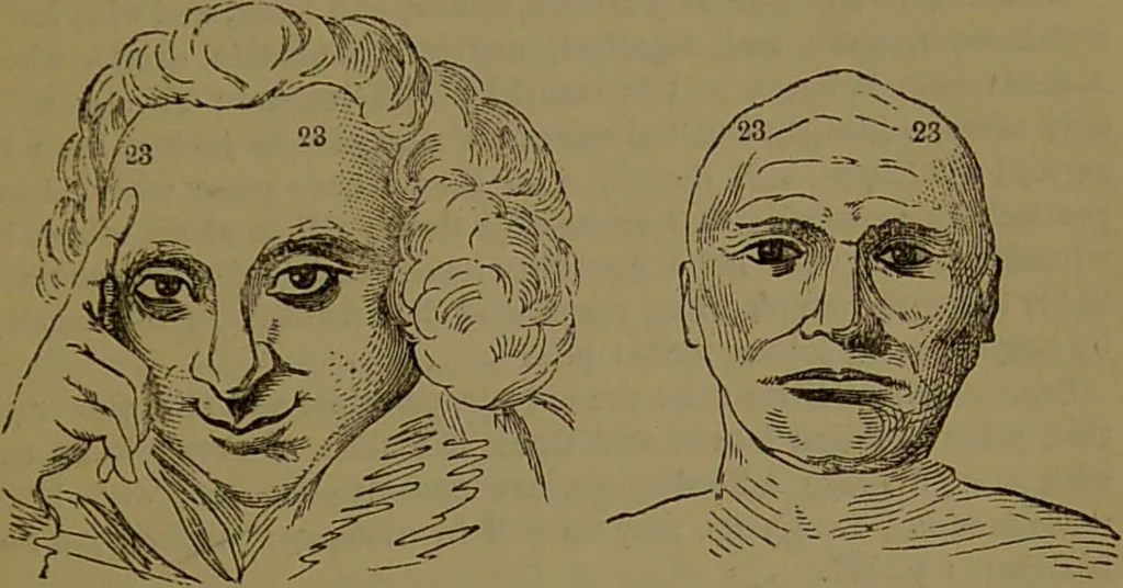 An illustration from New illustrated self-instructor in phrenology and physiology : with over one hundred engravings, together with the chart and character of ... as marked by ... / by O.S. and L.N. Fowler., 1872, leaf 141