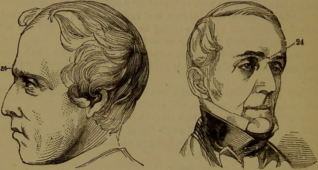 An illustration from New illustrated self-instructor in phrenology and physiology : with over one hundred engravings, together with the chart and character of ... as marked by ... / by O.S. and L.N. Fowler., 1872, leaf 146