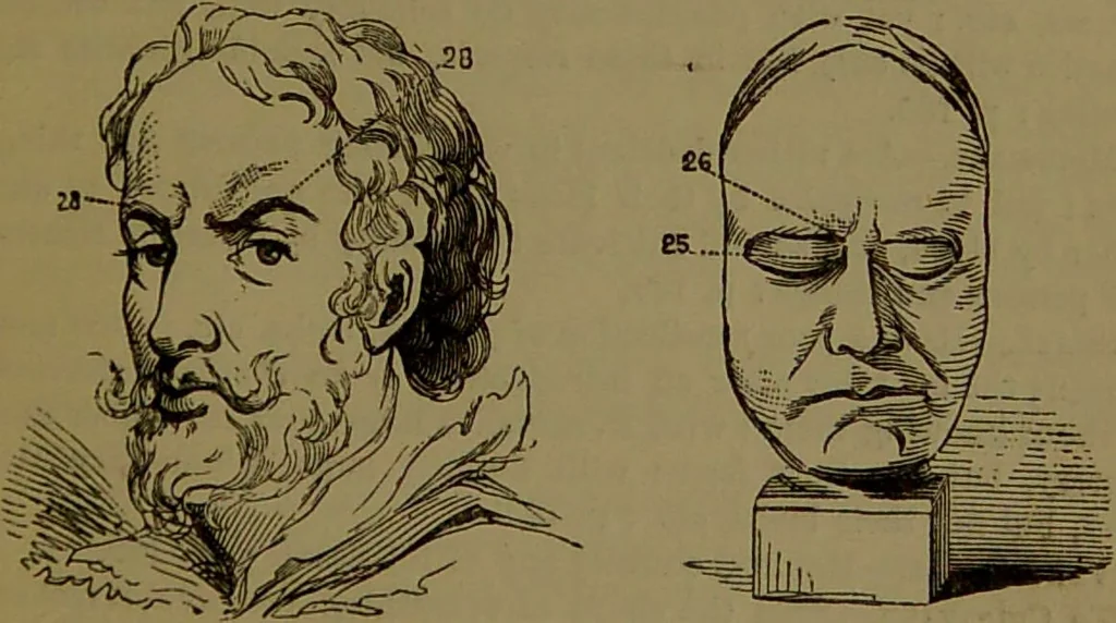 An illustration from New illustrated self-instructor in phrenology and physiology : with over one hundred engravings, together with the chart and character of ... as marked by ... / by O.S. and L.N. Fowler., 1872, leaf 147