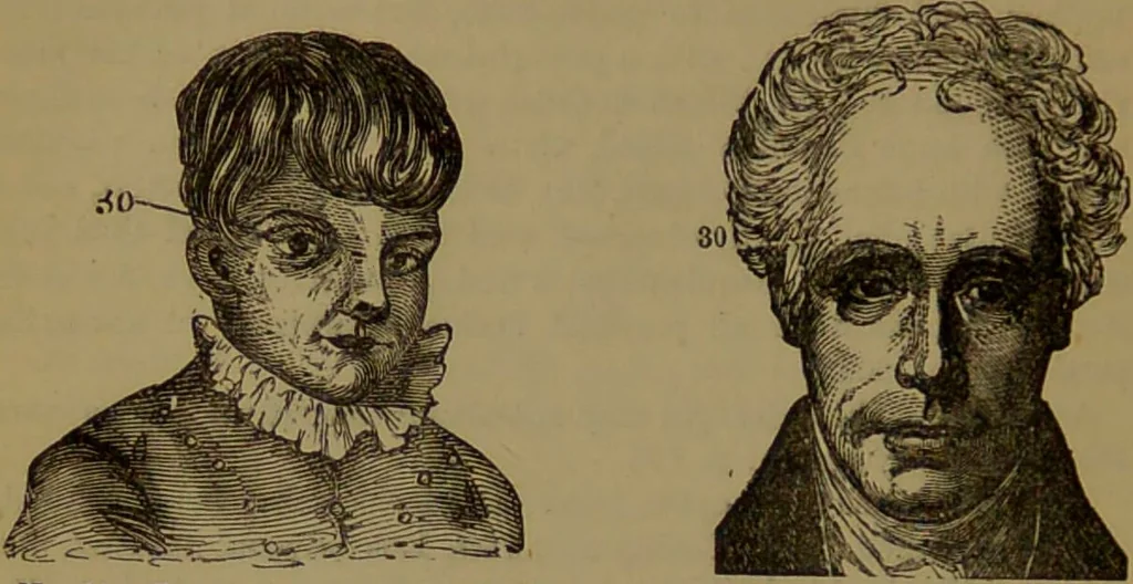 An illustration from New illustrated self-instructor in phrenology and physiology : with over one hundred engravings, together with the chart and character of ... as marked by ... / by O.S. and L.N. Fowler., 1872, leaf 154