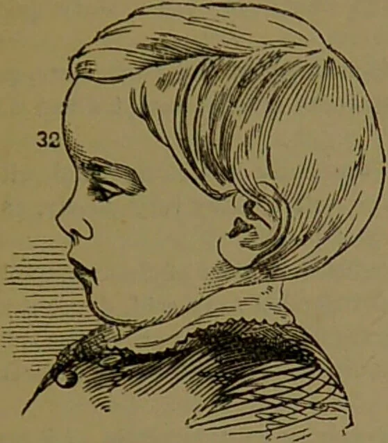 An illustration from New illustrated self-instructor in phrenology and physiology : with over one hundred engravings, together with the chart and character of ... as marked by ... / by O.S. and L.N. Fowler., 1872, leaf 157