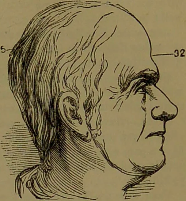 An illustration from New illustrated self-instructor in phrenology and physiology : with over one hundred engravings, together with the chart and character of ... as marked by ... / by O.S. and L.N. Fowler., 1872, leaf 157