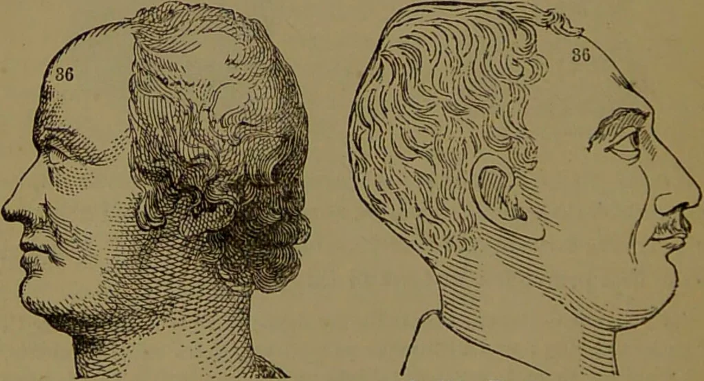 An illustration from New illustrated self-instructor in phrenology and physiology : with over one hundred engravings, together with the chart and character of ... as marked by ... / by O.S. and L.N. Fowler., 1872, leaf 164