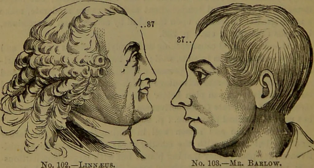 An illustration from New illustrated self-instructor in phrenology and physiology : with over one hundred engravings, together with the chart and character of ... as marked by ... / by O.S. and L.N. Fowler., 1872, leaf 166