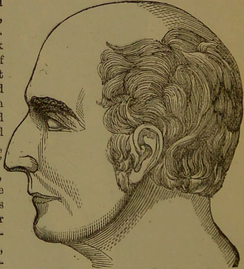 An illustration from New illustrated self-instructor in phrenology and physiology : with over one hundred engravings, together with the chart and character of ... as marked by ... / by O.S. and L.N. Fowler., 1872, leaf 54