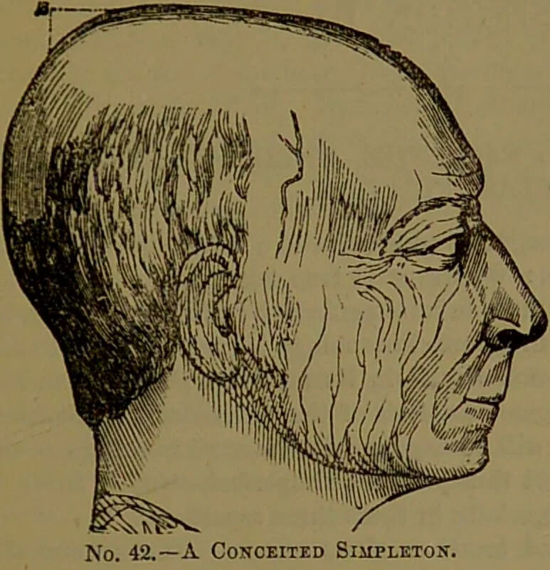 An illustration from New illustrated self-instructor in phrenology and physiology : with over one hundred engravings, together with the chart and character of ... as marked by ... / by O.S. and L.N. Fowler., 1872, leaf 73