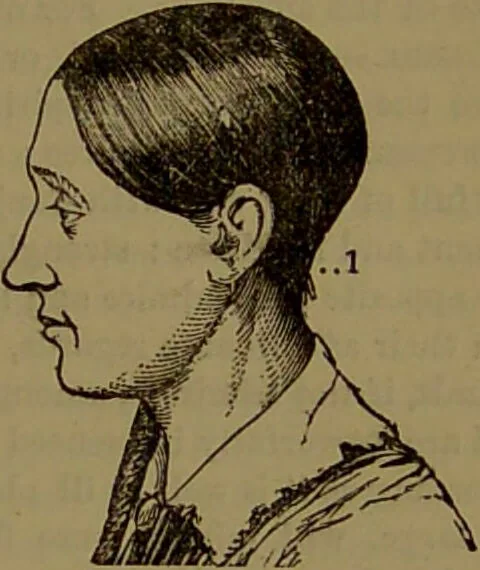 An illustration from New illustrated self-instructor in phrenology and physiology : with over one hundred engravings, together with the chart and character of ... as marked by ... / by O.S. and L.N. Fowler., 1872, leaf 79