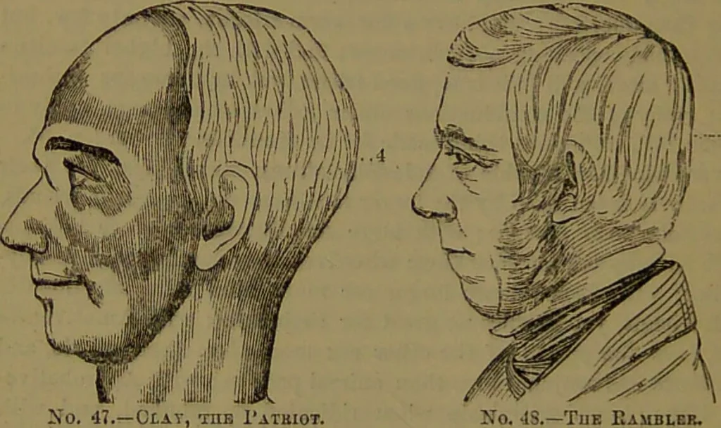 An illustration from New illustrated self-instructor in phrenology and physiology : with over one hundred engravings, together with the chart and character of ... as marked by ... / by O.S. and L.N. Fowler., 1872, leaf 90
