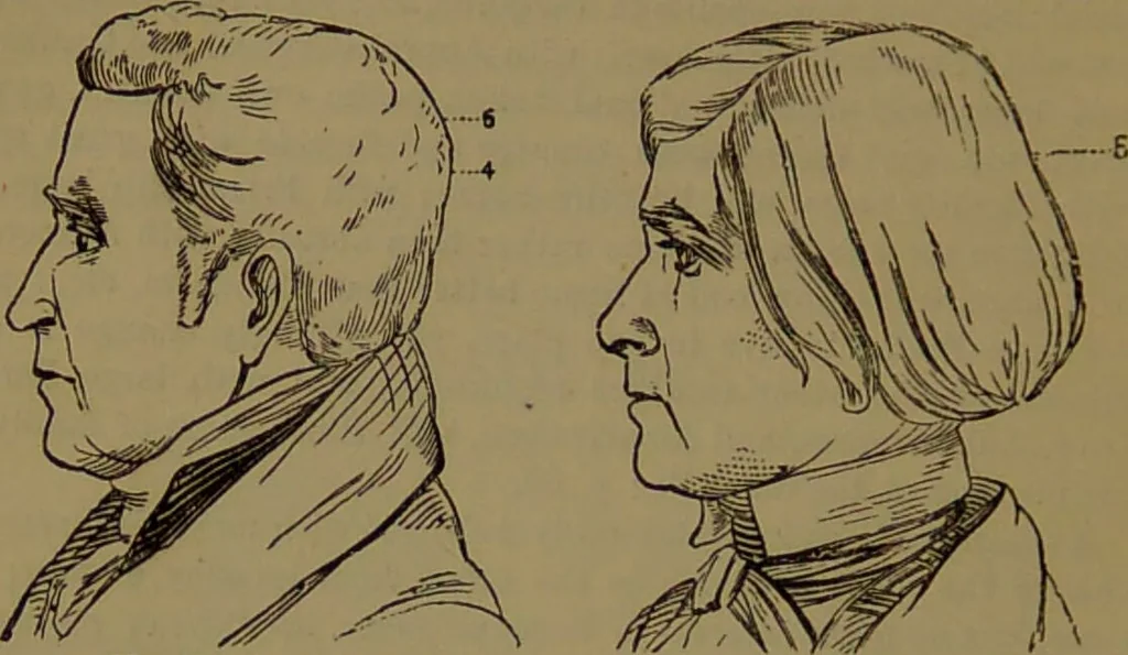 An illustration from New illustrated self-instructor in phrenology and physiology : with over one hundred engravings, together with the chart and character of ... as marked by ... / by O.S. and L.N. Fowler., 1872, leaf 92