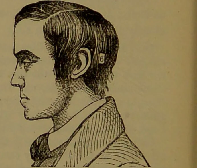 An illustration from New illustrated self-instructor in phrenology and physiology : with over one hundred engravings, together with the chart and character of ... as marked by ... / by O.S. and L.N. Fowler., 1872, leaf 96