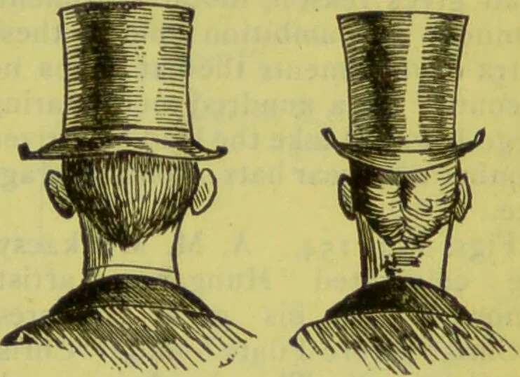 An illustration from How to study strangers by temperament, face and head : A sequel to "Heads and faces" / by Nelson Sizer., 1895, leaf 193