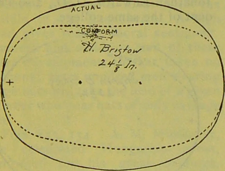 An illustration from How to study strangers by temperament, face and head : A sequel to "Heads and faces" / by Nelson Sizer., 1895, leaf 196