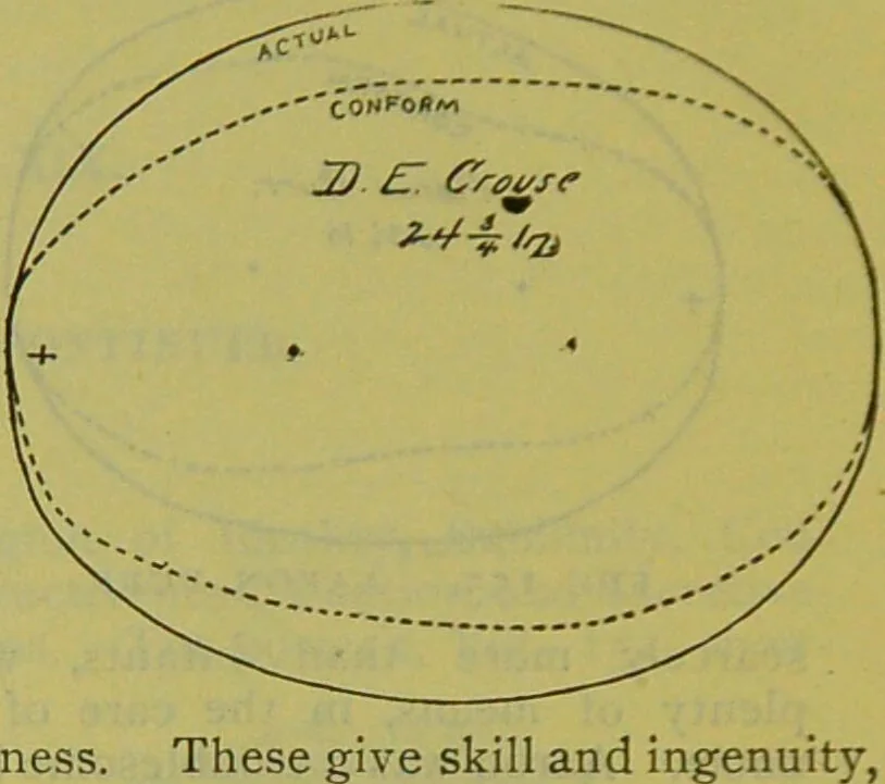 An illustration from How to study strangers by temperament, face and head : A sequel to "Heads and faces" / by Nelson Sizer., 1895, leaf 196