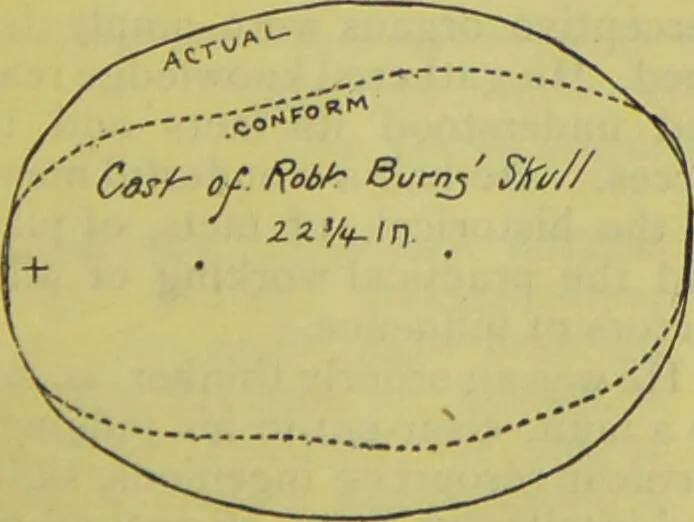 An illustration from How to study strangers by temperament, face and head : A sequel to "Heads and faces" / by Nelson Sizer., 1895, leaf 199