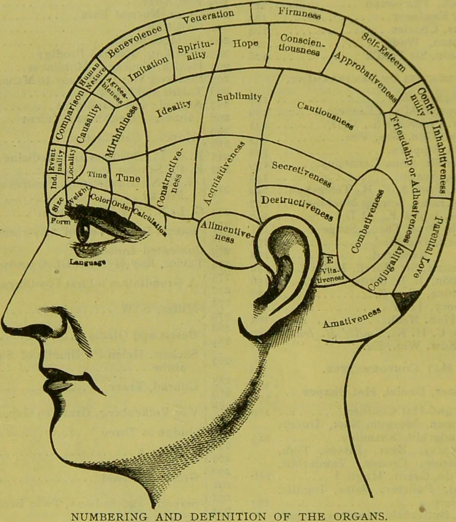 An illustration from How to study strangers by temperament, face and head : A sequel to "Heads and faces" / by Nelson Sizer., 1895, leaf 20