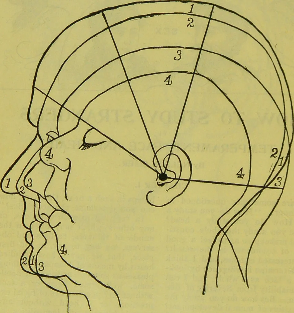 An illustration from How to study strangers by temperament, face and head : A sequel to "Heads and faces" / by Nelson Sizer., 1895, leaf 22