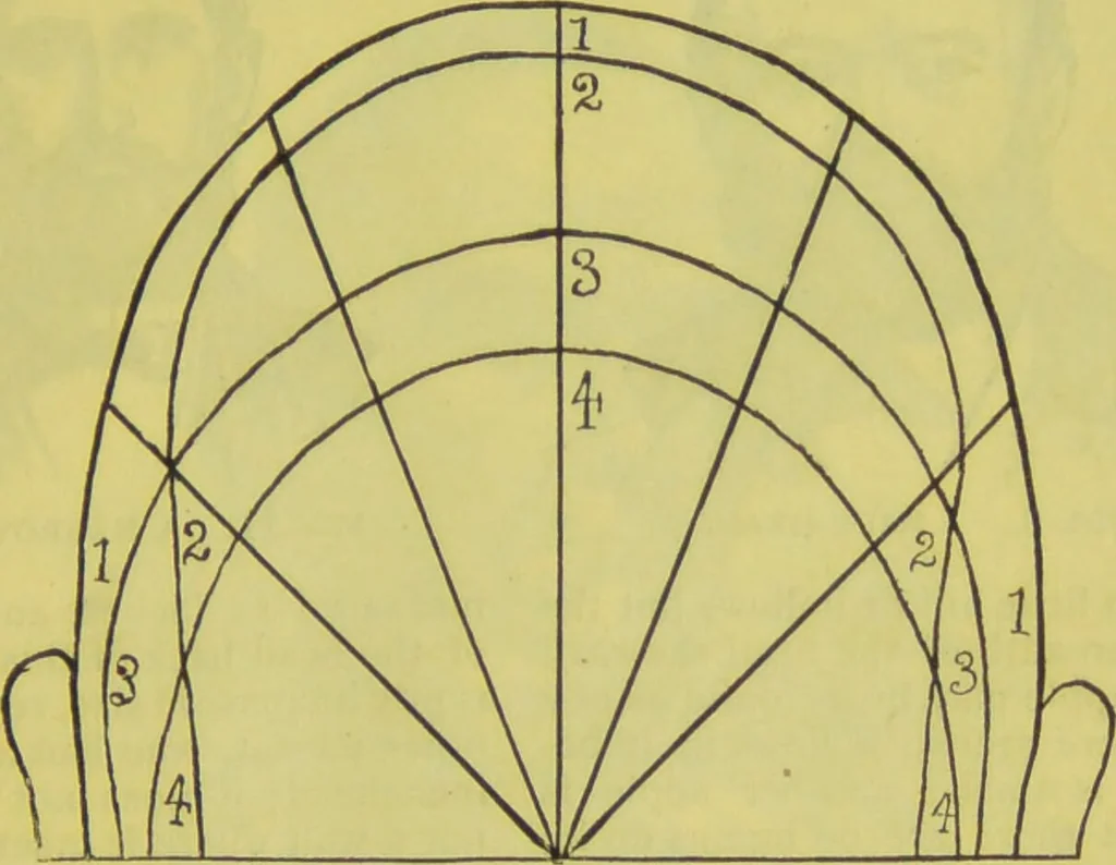 An illustration from How to study strangers by temperament, face and head : A sequel to "Heads and faces" / by Nelson Sizer., 1895, leaf 23