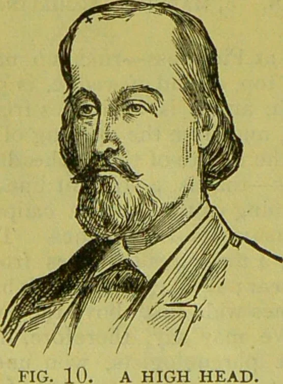 An illustration from How to study strangers by temperament, face and head : A sequel to "Heads and faces" / by Nelson Sizer., 1895, leaf 24