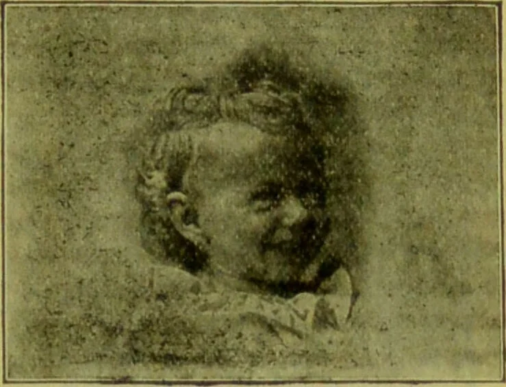 An illustration from How to study strangers by temperament, face and head : A sequel to "Heads and faces" / by Nelson Sizer., 1895, leaf 251