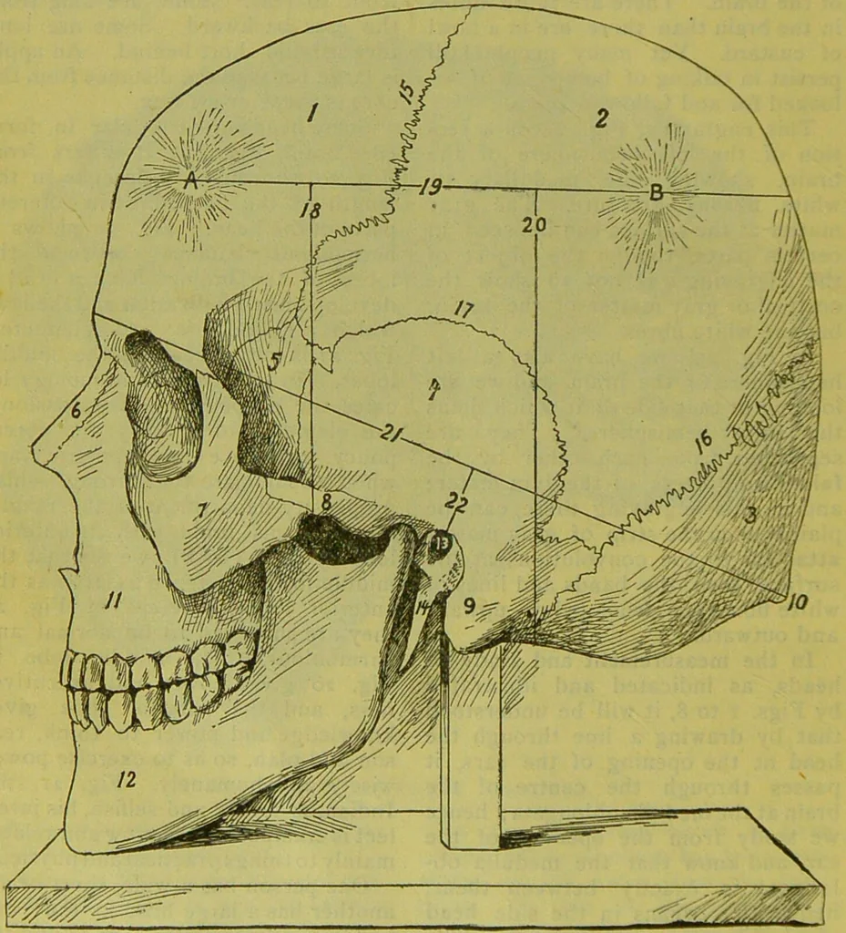 An illustration from How to study strangers by temperament, face and head : A sequel to "Heads and faces" / by Nelson Sizer., 1895, leaf 36