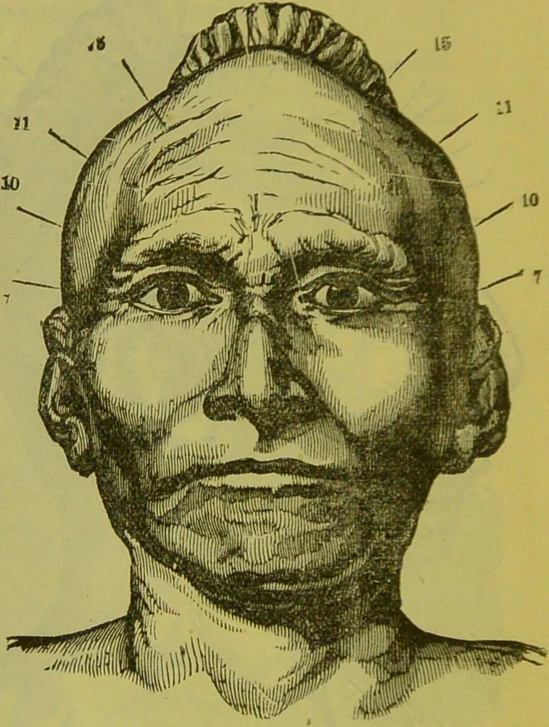 An illustration from How to study strangers by temperament, face and head : A sequel to "Heads and faces" / by Nelson Sizer., 1895, leaf 38