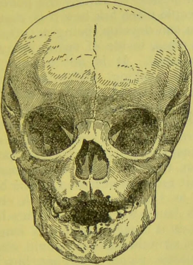 An illustration from How to study strangers by temperament, face and head : A sequel to "Heads and faces" / by Nelson Sizer., 1895, leaf 45