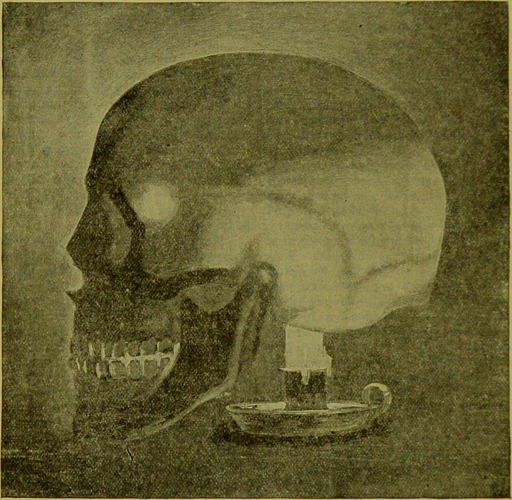 An illustration from How to study strangers by temperament, face and head : A sequel to "Heads and faces" / by Nelson Sizer., 1895, leaf 50