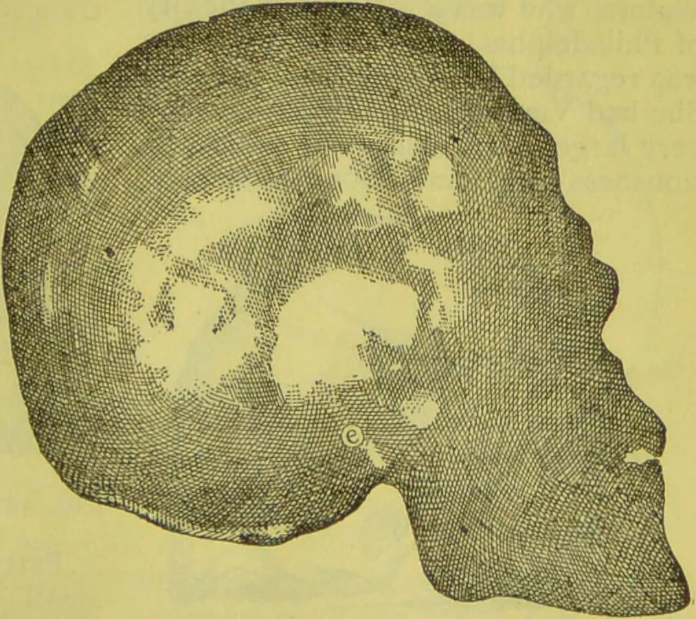 An illustration from How to study strangers by temperament, face and head : A sequel to "Heads and faces" / by Nelson Sizer., 1895, leaf 53