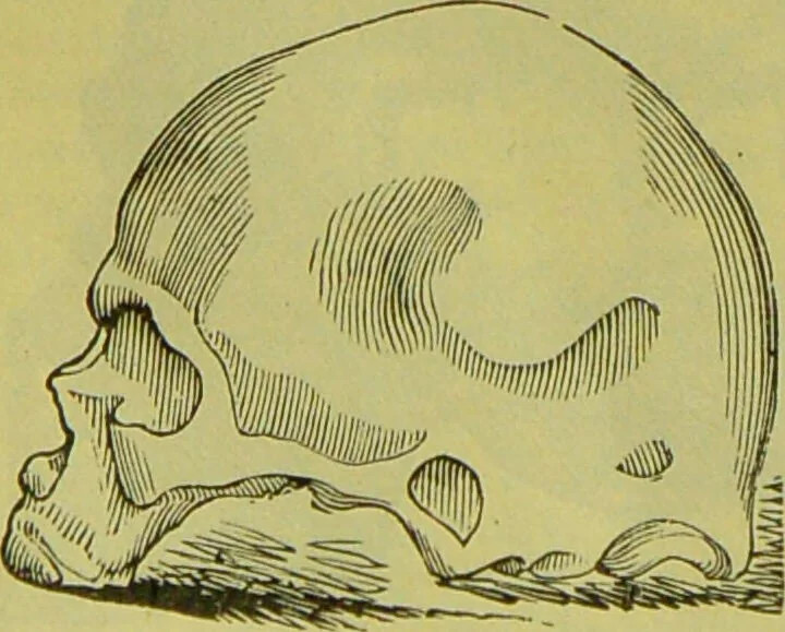 An illustration from How to study strangers by temperament, face and head : A sequel to "Heads and faces" / by Nelson Sizer., 1895, leaf 54