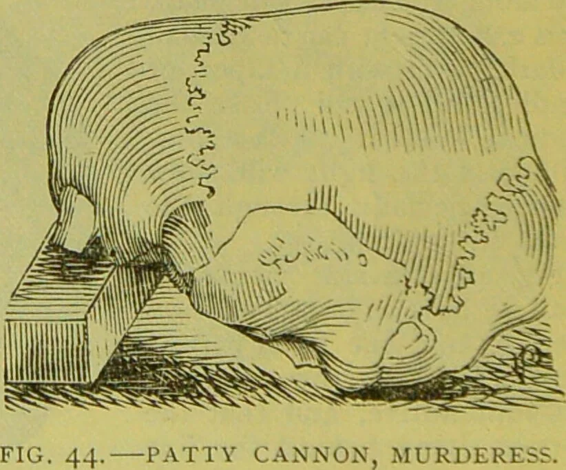 An illustration from How to study strangers by temperament, face and head : A sequel to "Heads and faces" / by Nelson Sizer., 1895, leaf 54