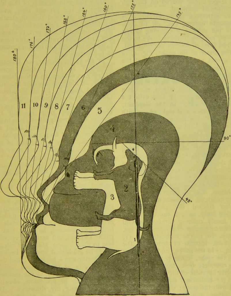 An illustration from How to study strangers by temperament, face and head : A sequel to "Heads and faces" / by Nelson Sizer., 1895, leaf 57