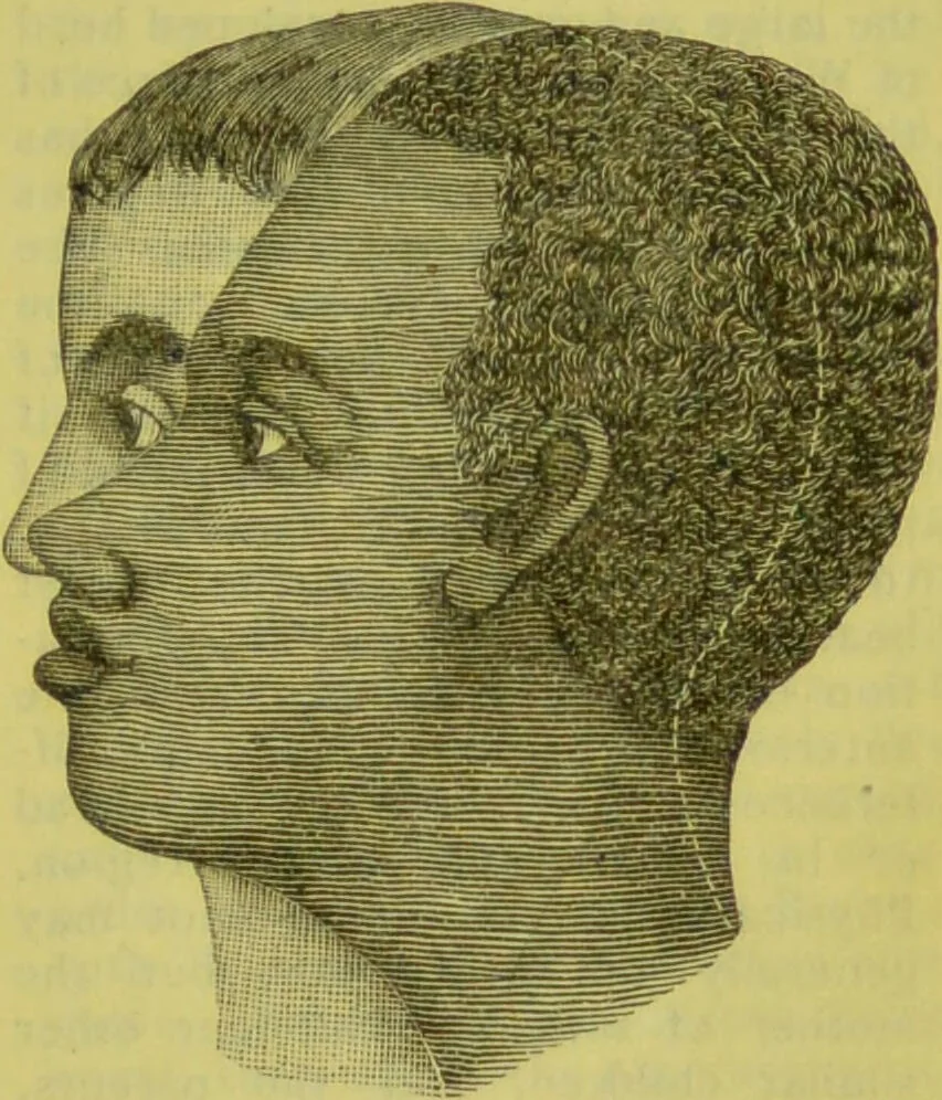 An illustration from How to study strangers by temperament, face and head : A sequel to "Heads and faces" / by Nelson Sizer., 1895, leaf 59