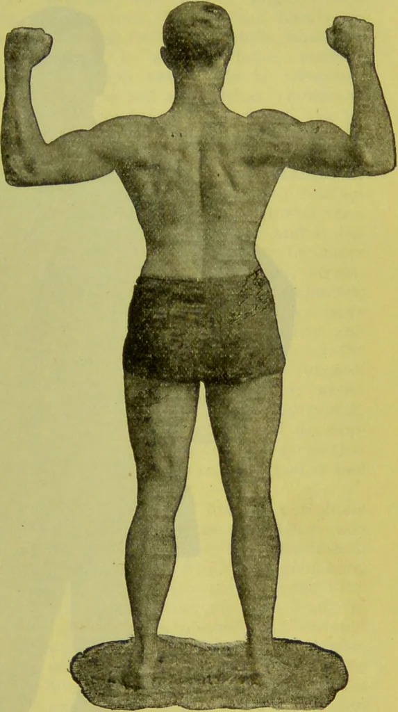 An illustration from How to study strangers by temperament, face and head : A sequel to "Heads and faces" / by Nelson Sizer., 1895, leaf 67