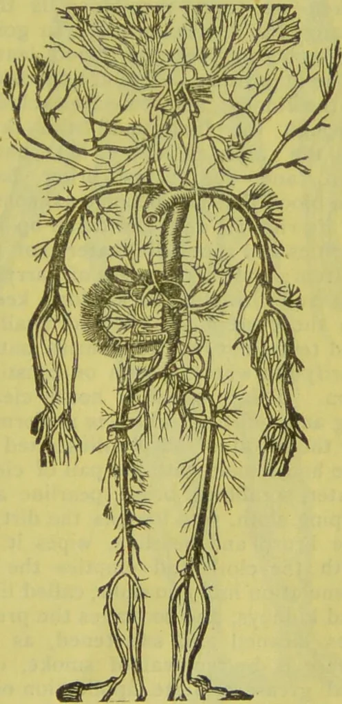 An illustration from How to study strangers by temperament, face and head : A sequel to "Heads and faces" / by Nelson Sizer., 1895, leaf 75