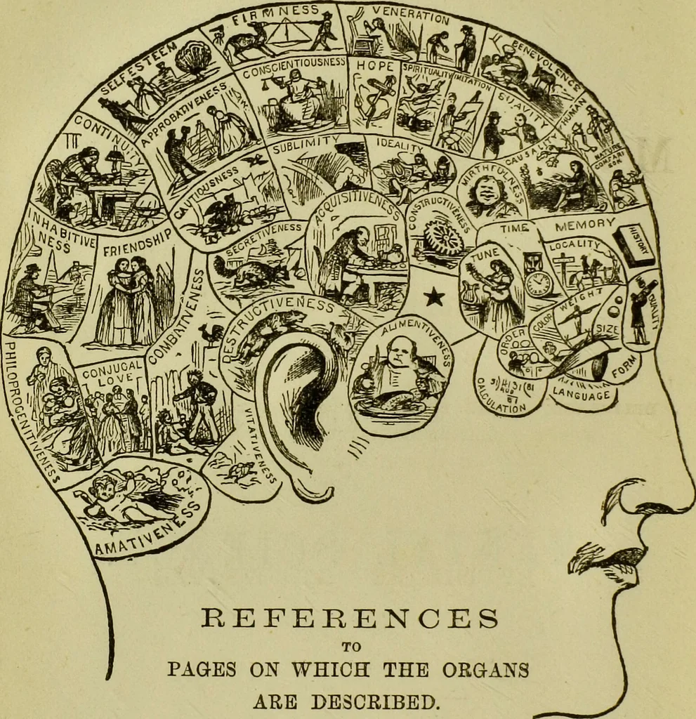 An illustration from Lectures on mental science according to the philosophy of phrenology : delivered berfore the Anthropological Society of the Western Liberal Institute of Marietta, Ohio, in the autumn of 1851 / by G.S. Weaver., 1876, leaf 6