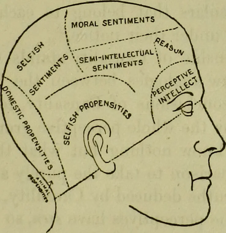 An illustration from Lectures on mental science according to the philosophy of phrenology : delivered berfore the Anthropological Society of the Western Liberal Institute of Marietta, Ohio, in the autumn of 1851 / by G.S. Weaver., 1876, leaf 61