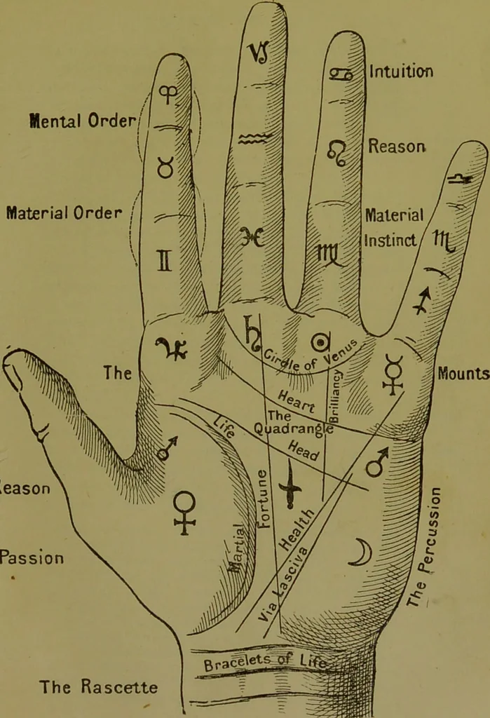 An illustration from A manual of cheirosophy : being a complete practical handbook of the twin sciences of cheirognomy and cheiromancy, by means whereof the past, the present, and the future may be read in the formations of the hands ; preceded by an introductory argument upon the science of cheirosophy and its claims to rank as a physical science / by Ed. Heron-Allen ... with full-page and other illustrations by Rosamund Brunel Horsley., 1892, leaf 195