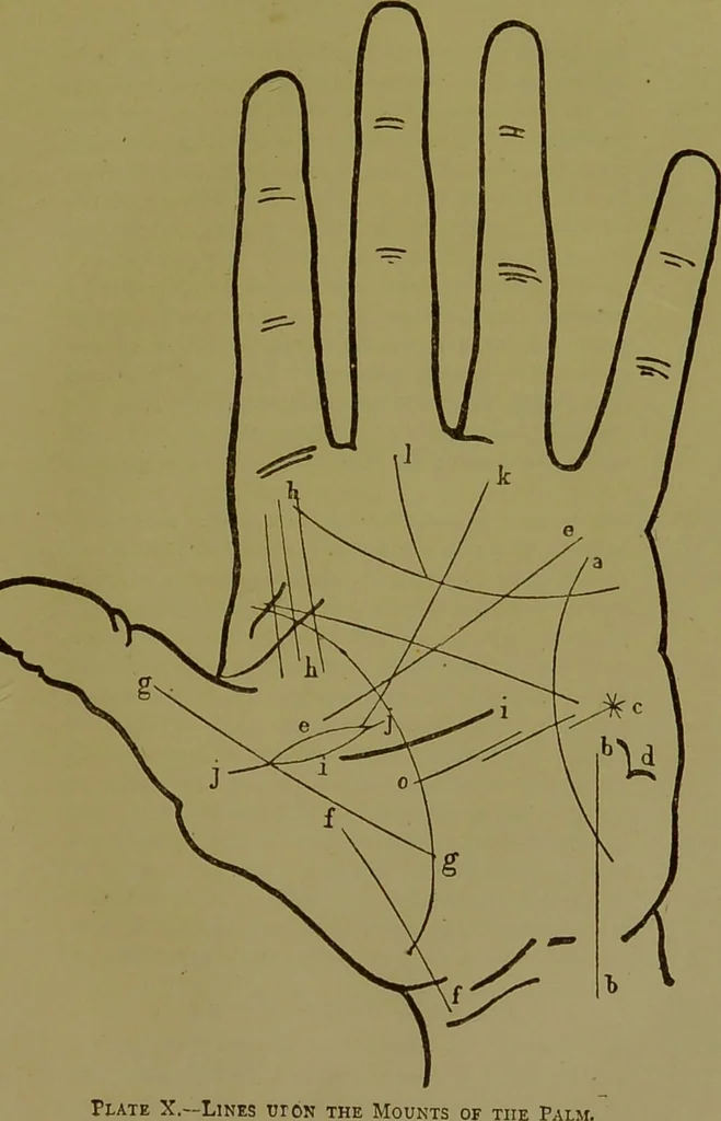 An illustration from A manual of cheirosophy : being a complete practical handbook of the twin sciences of cheirognomy and cheiromancy, by means whereof the past, the present, and the future may be read in the formations of the hands ; preceded by an introductory argument upon the science of cheirosophy and its claims to rank as a physical science / by Ed. Heron-Allen ... with full-page and other illustrations by Rosamund Brunel Horsley., 1892, leaf 217