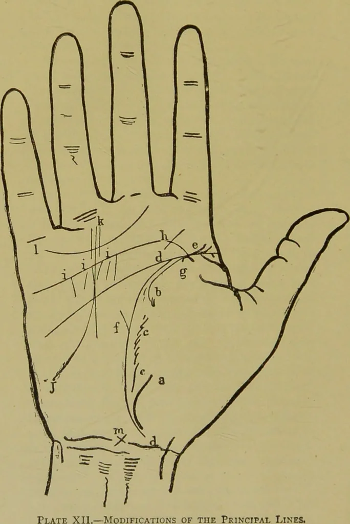 An illustration from A manual of cheirosophy : being a complete practical handbook of the twin sciences of cheirognomy and cheiromancy, by means whereof the past, the present, and the future may be read in the formations of the hands ; preceded by an introductory argument upon the science of cheirosophy and its claims to rank as a physical science / by Ed. Heron-Allen ... with full-page and other illustrations by Rosamund Brunel Horsley., 1892, leaf 240