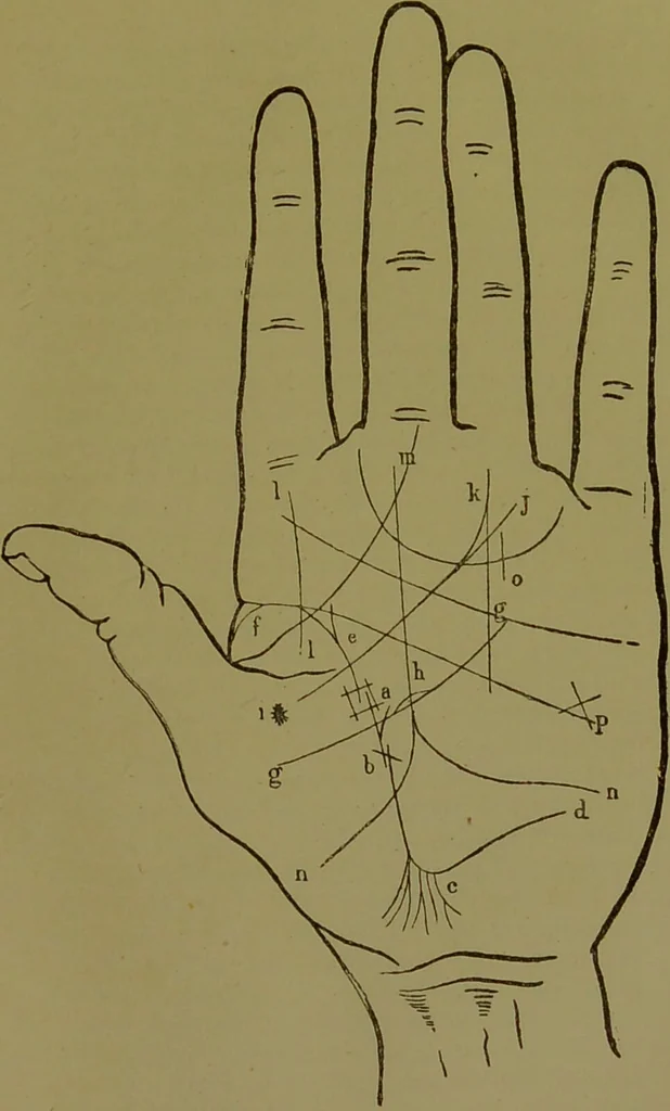 An illustration from A manual of cheirosophy : being a complete practical handbook of the twin sciences of cheirognomy and cheiromancy, by means whereof the past, the present, and the future may be read in the formations of the hands ; preceded by an introductory argument upon the science of cheirosophy and its claims to rank as a physical science / by Ed. Heron-Allen ... with full-page and other illustrations by Rosamund Brunel Horsley., 1892, leaf 243