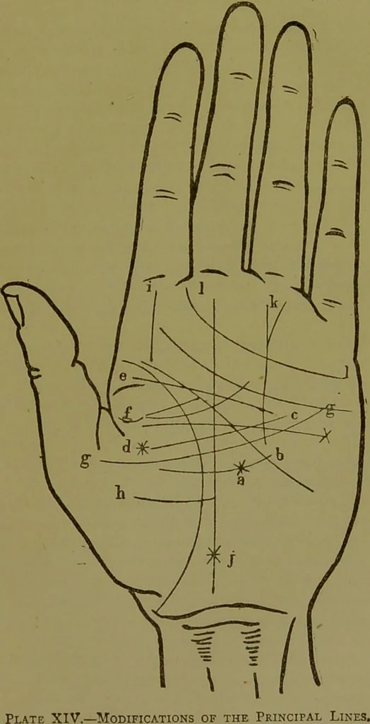 An illustration from A manual of cheirosophy : being a complete practical handbook of the twin sciences of cheirognomy and cheiromancy, by means whereof the past, the present, and the future may be read in the formations of the hands ; preceded by an introductory argument upon the science of cheirosophy and its claims to rank as a physical science / by Ed. Heron-Allen ... with full-page and other illustrations by Rosamund Brunel Horsley., 1892, leaf 247
