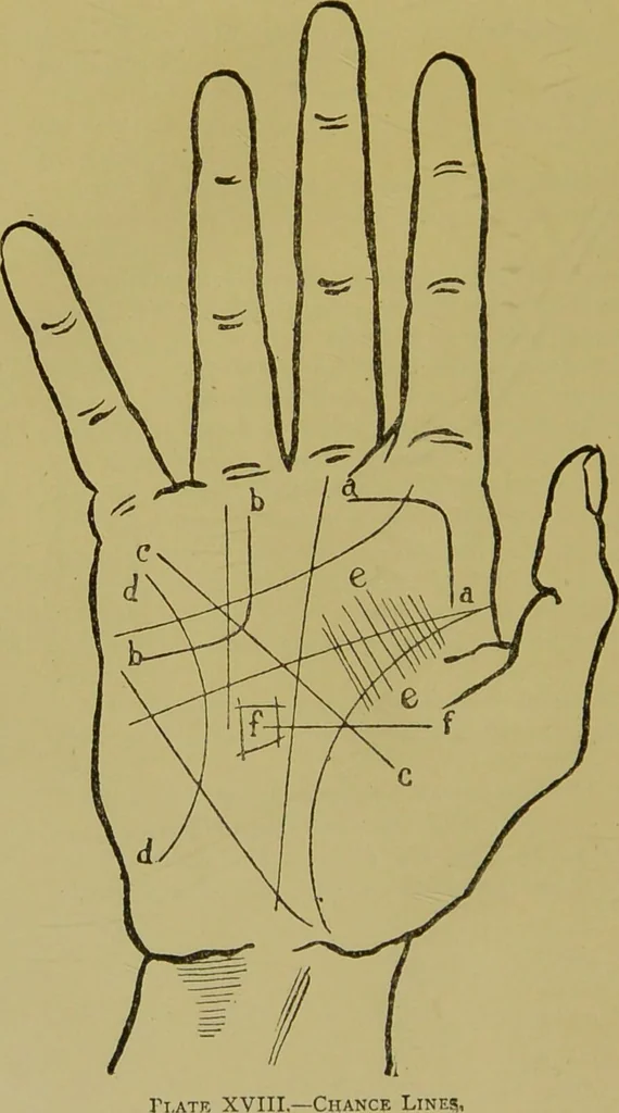An illustration from A manual of cheirosophy : being a complete practical handbook of the twin sciences of cheirognomy and cheiromancy, by means whereof the past, the present, and the future may be read in the formations of the hands ; preceded by an introductory argument upon the science of cheirosophy and its claims to rank as a physical science / by Ed. Heron-Allen ... with full-page and other illustrations by Rosamund Brunel Horsley., 1892, leaf 300